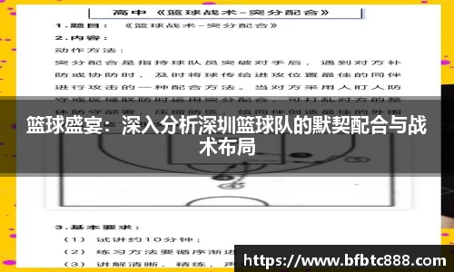 篮球盛宴：深入分析深圳篮球队的默契配合与战术布局