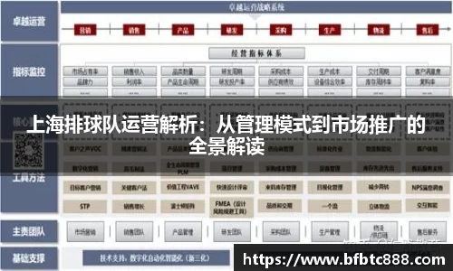 上海排球队运营解析：从管理模式到市场推广的全景解读