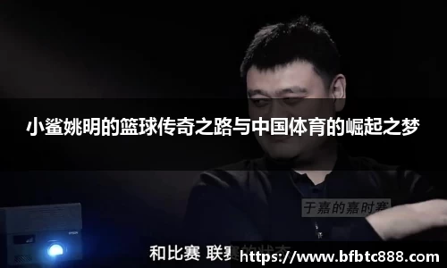 小鲨姚明的篮球传奇之路与中国体育的崛起之梦