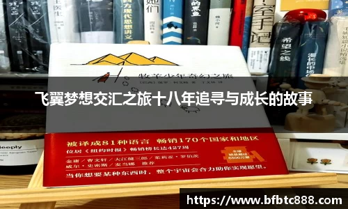飞翼梦想交汇之旅十八年追寻与成长的故事