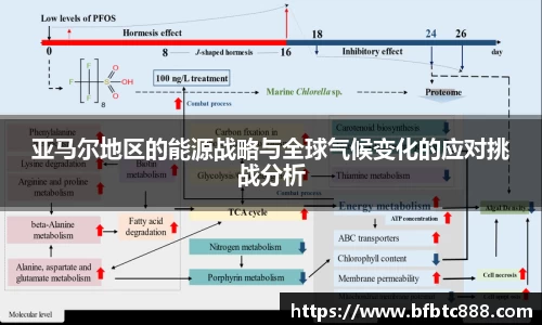 k1体育官方网站
